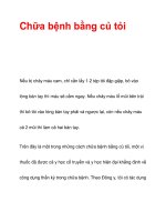 Chữa bệnh bằng củ tỏi ppsx