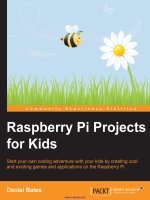 raspberry pi projects for kids