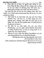 Kỹ thuật trồng và ghép hoa hồng part 3 ppt