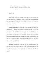 SỐT XUẤT HUYẾT DENGUE Ở TRẺ SƠ SINH pptx