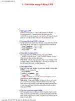 Sửa chữa điện thoại di động - Mạng DTDD pps