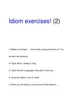 Idiom exercises! (2) ppsx