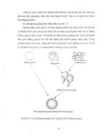 Báo cáo khoa học : Chế tạo thiết bị phát hiện nhanh sự o nhiễm môi trường không khí và nước bởi các vi sinh vật độc hại part 3 pdf