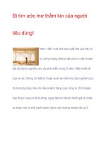 Đi tìm ước mơ thầm kín của người tiêu dùng! potx