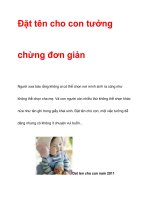Đặt tên cho con tưởng chừng đơn giản pptx
