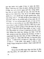 Kỹ thuật trồng và ghép sứ Thái nhiều màu part 2 ppsx