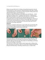 Ảo thuật biến đổi đồng xu potx