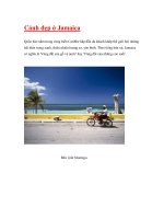 Cảnh đẹp ở Jamaica pptx