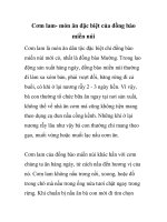 Cơm lam- món ăn đặc biệt của đồng bào miền núi pdf