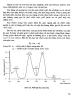 Các phương pháp giám định đá quý part 4 potx