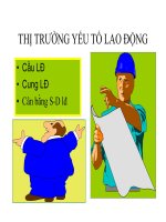 quá trình hình thành quy trình tất yếu cung cầu trong lao động p1 pps