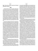 Câu 1: Trình bày nội dung, vai trò của cơ chế quản lý kinh tế. Những giải pháp hoàn thiện cơ chế quản lý? pot