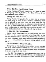 Xương rồng bát tiên : Kỹ thuật trồng và phương pháp lai tạo part 4 pptx