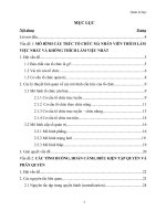 quản trị tổ chức và các vấn đề liên quan