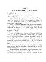 Kinh tế vĩ mô - chương 4 doc