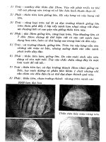 Kỹ thuật nuôi cá kiểng part 7 pot