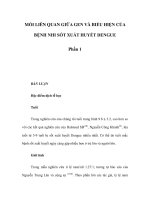 MỐI LIÊN QUAN GIỮA GEN VÀ BIỂU HIỆN CỦA BỆNH NHI SỐT XUẤT HUYẾT DENGUE - Phần 2 potx