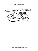 Các phương pháp giám định đá quý part 1 potx
