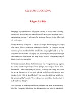 SẮC MÀU CUỘC SỐNG - Lá gan kỳ diệu potx