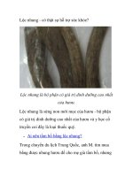 Lộc nhung - có thật sự hỗ trợ sức khỏe? docx