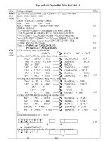 Đáp án đề thi học sinh giỏi môn hóa học lớp 11 ppt
