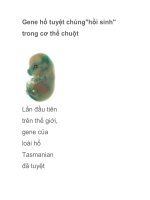 Gene hổ tuyệt chủng