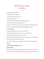 BIỆN PHÁP TỔ CHỨC THI CÔNG CÔNG TRÌNH: A 3 potx