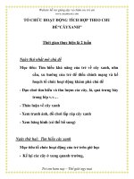 TỔ CHỨC HOẠT ĐỘNG TÍCH HỢP THEO CHU ĐỀ “CÂYXANH” ppt