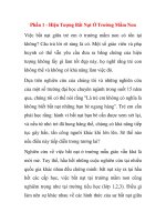 Phần 1 - Hiện Tượng Bắt Nạt Ở Trường Mầm Non pdf