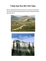 Lãng mạn hoa đào sớm Sapa pps