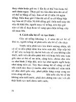 Kỹ thuật trồng và ghép sứ Thái nhiều màu part 6 doc