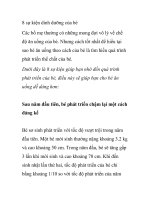 8 sự kiện dinh dưỡng của bé ppsx