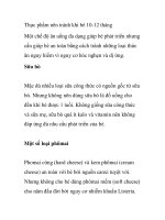 Thực phẩm nên tránh khi bé 10-12 tháng pdf