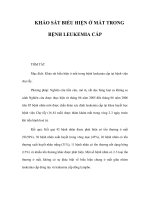KHẢO SÁT BIỂU HIỆN Ở MẮT TRONG BỆNH LEUKEMIA CẤP potx