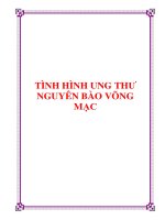 TÌNH HÌNH UNG THƯ NGUYÊN BÀO VÕNG MẠC pdf