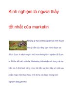 Kinh nghiệm là người thầy tốt nhất của marketing docx