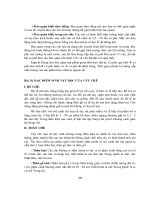 CÂY CÔNG NGHIỆP DÀI NGÀY - Bài 10 & 11 pot