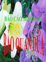 Báo cáo seminar bảo quản thực phẩm dứa doc