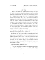 Thiết kế lập trình cho động cơ một pha điện dung theo phương pháp tối ưu nhất