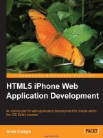 html5 iphone web application development