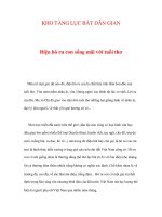 KHO TÀNG LỤC BÁT DÂN GIAN - Điệu hò ru con sống mãi với tuổi thơ ppsx