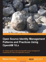 open source identity management patterns and practices using openam 10.x