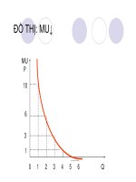 quá trình hình thành quy trình lý thuyết người tiêu dùng trong cung cầu p5 pptx