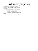 Tiểu luận Đề tài tự học 30%