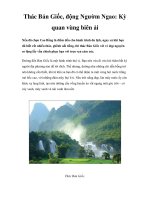 Thác Bản Giốc, động Ngườm Ngao: Kỳ quan vùng biên ải pps