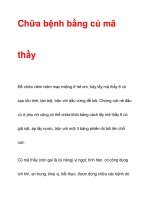 Chữa bệnh bằng củ mã thầy doc