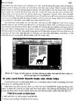 Hướng dẫn sử dụng Coreldraw 8 part 8 potx