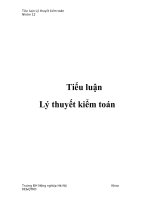 Tiểu luận: Lý thuyết kiểm toán ppt