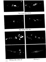 Kỹ thuật nuôi cá kiểng part 6 pps
