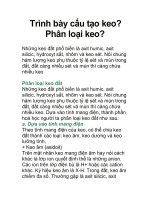 Trình bày cấu tạo keo? Phân loại keo? pot